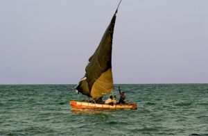 Dhow Sailing the Mozambique Coast